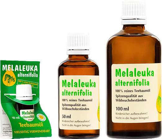 Melaleuka alternifolia (Teebaumöl)