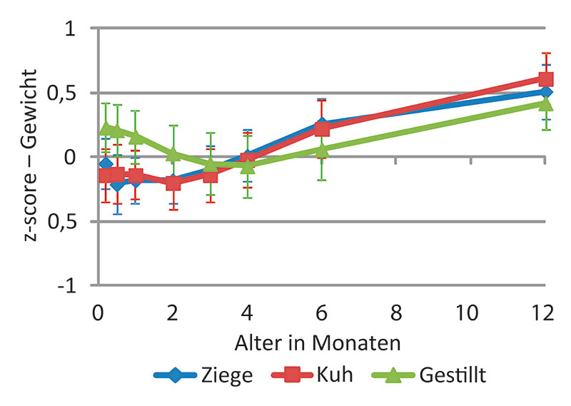 Studie Bambinchen