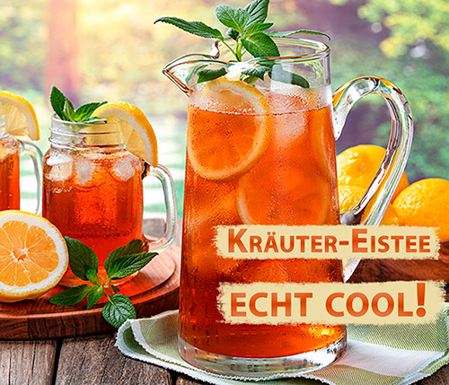 Bild: Echt cool schmeckt diese herrlich erfrischende, belebende Kräuter-Kreation. verlinkt auf p_d,Essen-und-Trinken,Tee-Kaffee,Kraeuter-Eistee-echt-cool.html&open=304&list=257&area=258&ArtID=2965&search=0&outlook=&opengroup=78&ANID=&RID=?pk_campaign=slider