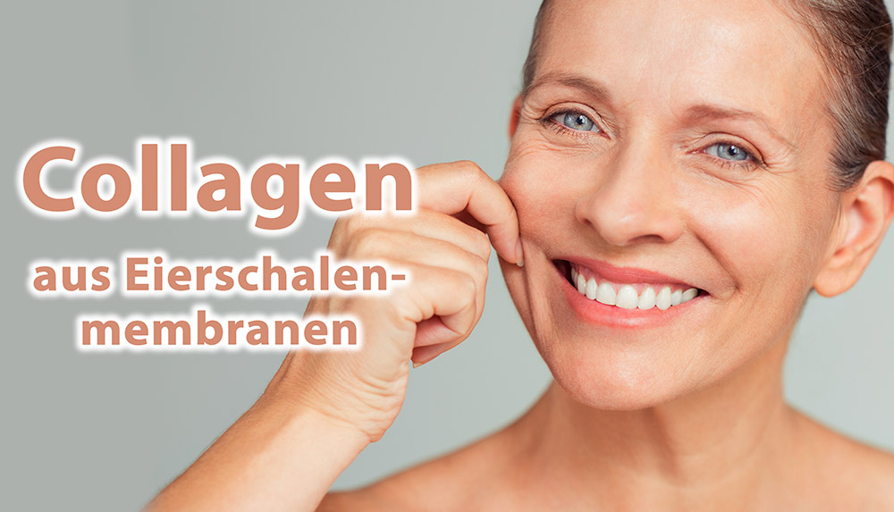Bild: Kollagen - Zur Unterstützung von gesundem Bindegewebe, Knorpel, Haare, Haut, etc. verlinkt auf p_d,Gesundheit,Nahrungsergaenzung,Collagen.html&open=303&list=178&area=227&ArtID=7665&search=&outlook=&opengroup=&ANID=&RID=?pk_campaign=slider
