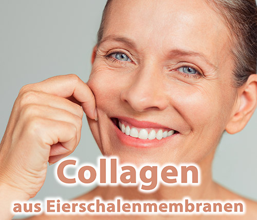 Bild: Kollagen - Zur Unterstützung von gesundem Bindegewebe, Knorpel, Haare, Haut, etc. verlinkt auf p_d,Gesundheit,Nahrungsergaenzung,Collagen.html&open=303&list=178&area=227&ArtID=7665&search=&outlook=&opengroup=&ANID=&RID=?pk_campaign=slider