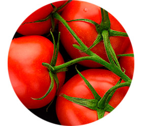 Tomaten