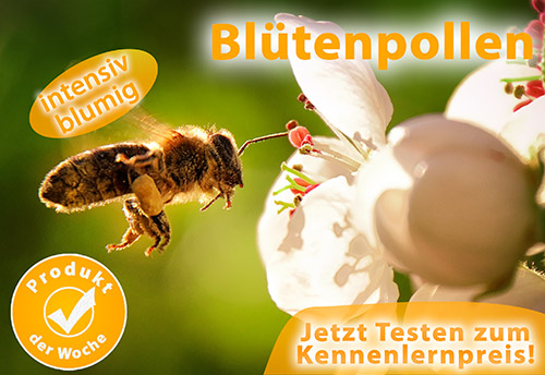 Bild: Blütenpollen