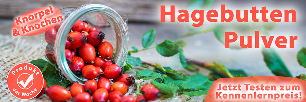 Bild: Hagebutten Pulver