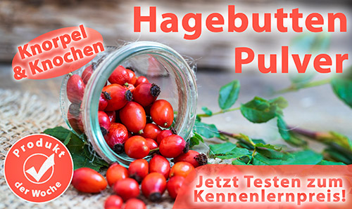 Bild: Hagebutten Pulver