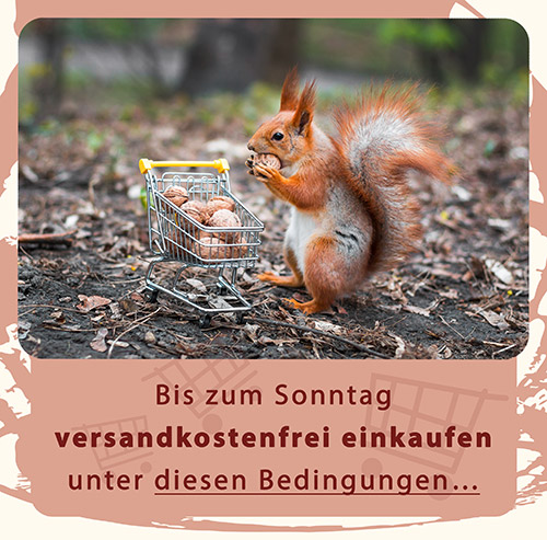 Bild: Versandkostenfrei einkaufen