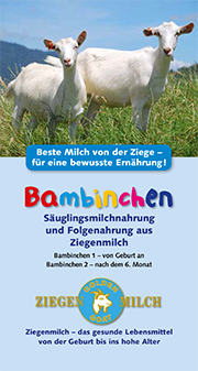 Produktbild zu Artikel Bambinchen Info-Flyer