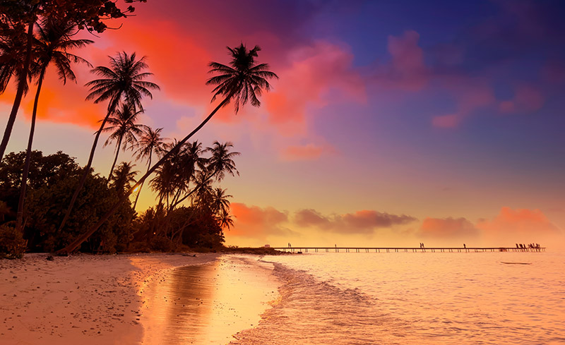 Bild: Creme-Peeling Tropical Breeze - Bild 1
