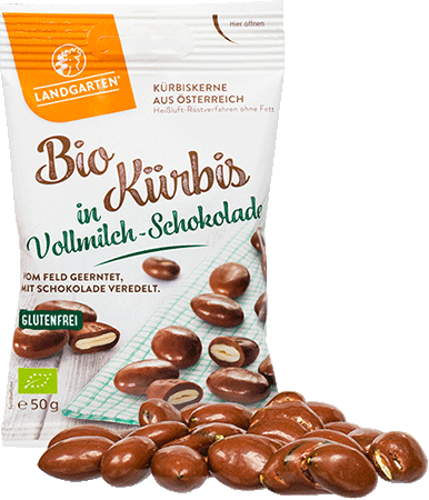 Kürbis in Vollmilch-Schokolade