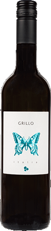 Schmetterling Grillo