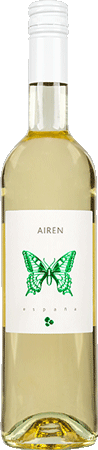 Schmetterling Airen