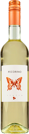 Schmetterling Pecorino