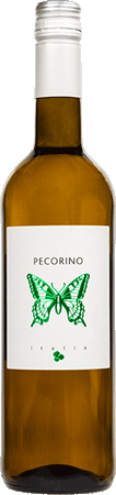 Schmetterling Pecorino