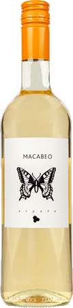 Schmetterling Macabeo