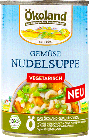 Gemüse-Nudelsuppe