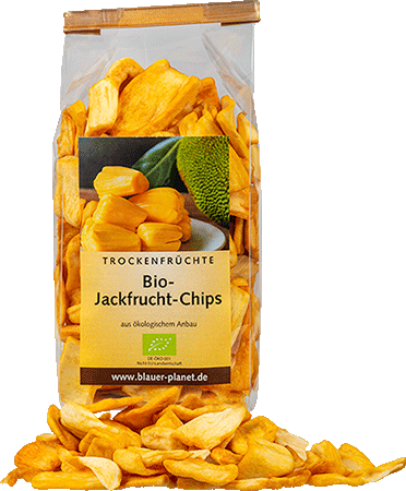 Jackfrucht-Chips