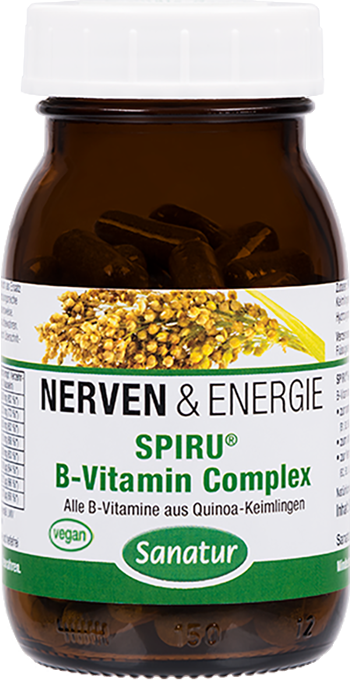 Produktbild zu Artikel SpiruB-Vitamin Complex 