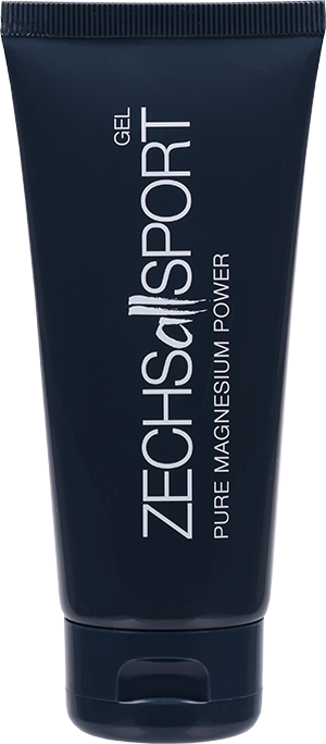 Produktbild zu Artikel Zechsal Magnesium Sport Gel