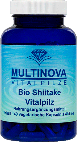 Shiitake Vitalpilz