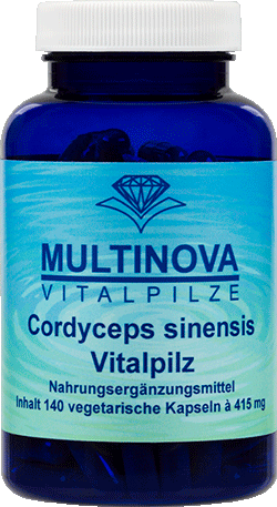 Cordyceps Vitalpilz