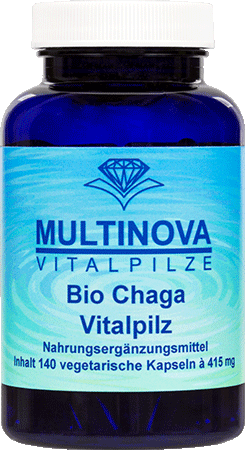 Chaga Vitalpilz