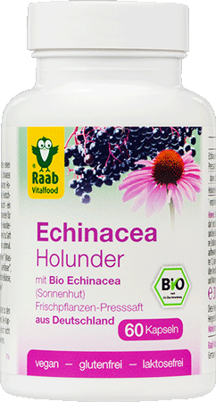 Echinacea Holunder