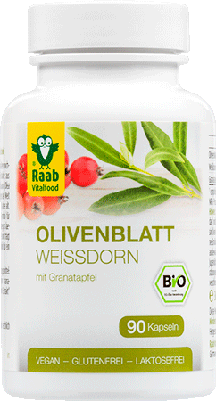 Olivenblatt-Weißdorn mit Granatapfel