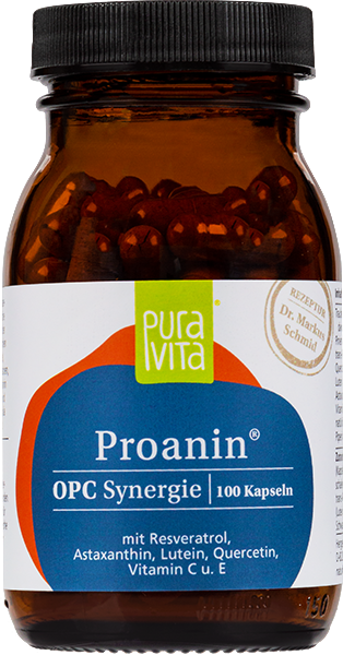 Produktbild zu Artikel Proanin OPC Synergie - Antioxidanz 