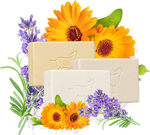 Bild: Seifenfreies Waschstück<br> Ziegenmilch