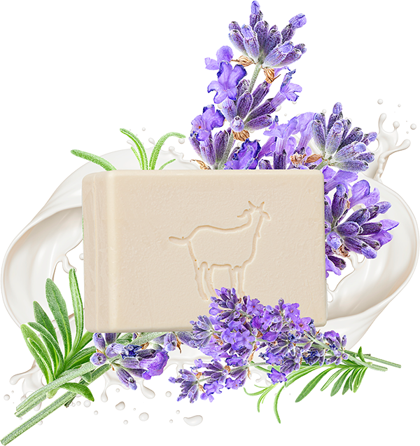 Produktbild zu Artikel Seifenfreies Waschstück<br> Ziegenmilch