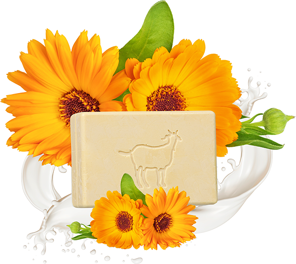 Produktbild zu Artikel Seifenfreies Waschstück<br> Ziegenmilch