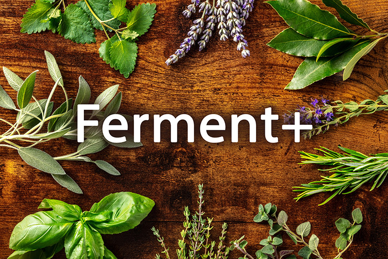 Bild: Ferment+ - Bild 1