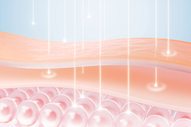 Bild: Collagen - Bild 1