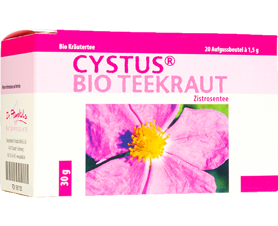 Cistus Incanus Bio Tee Aufgussbeutel