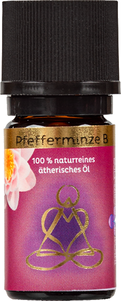 Produktbild zu Artikel MINZE Pfefferminze