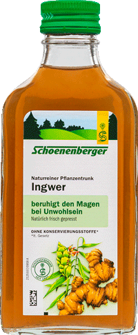 Ingwer-Trunk