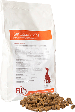 FIL Trockenfutter  - Geflügel mit Lachs