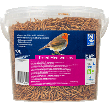 Bild: Mehlwürmer, getrocknet