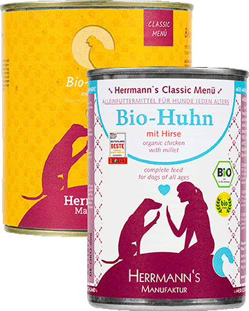 Huhn mit Hirse