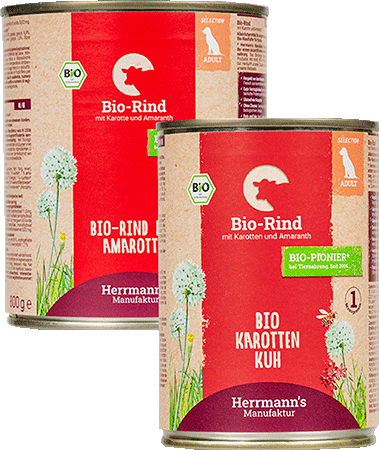 Bild: Rind mit Karotte und Amaranth