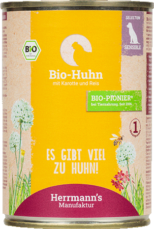 Bild: Huhn mit Karotte und Reis