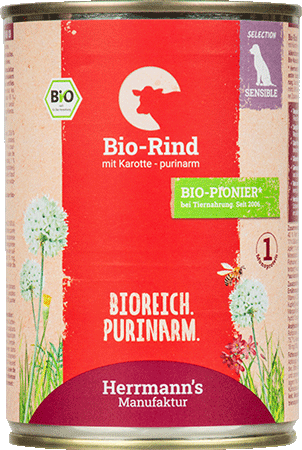 Bild: Rind mit Karotten - purinarm