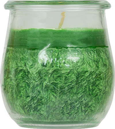 Produktbild 1 zu Artikel Stearin-Kerze  im Weck Glas grün anzeigen