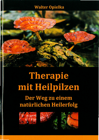 Broschüre: Therapie mit Heilpilzen