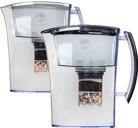 LOTUS VITA Wasserfilter Kanne
