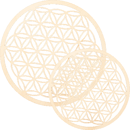 Bild: BLUME DES LEBENS