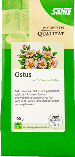 Cistus Tee Premium