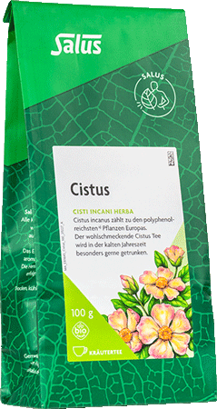 Cistus Tee