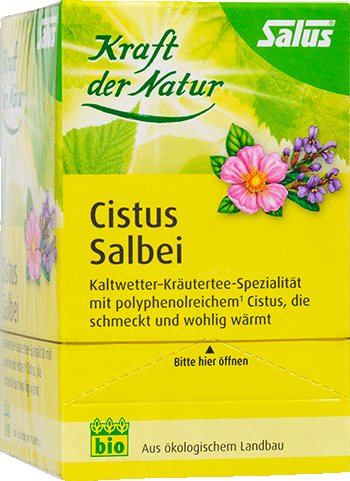 Cistus Salbei Tee