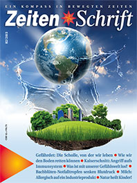 Produktbild zu Artikel ZeitenSchrift Ausgabe 82